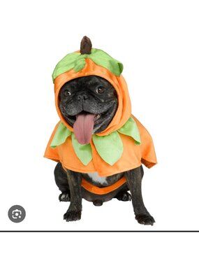 Dog Pumpkin Costume S/P Size Orange Green Soft Fabric Seasonal Outfit For Pets I